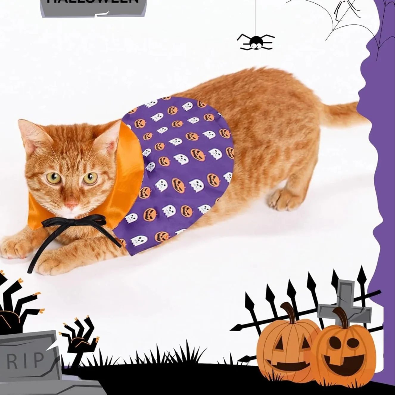 Halloween Pet Costume for Cats and Dogs