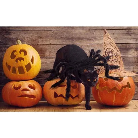 Halloween Spider Costume for Pets