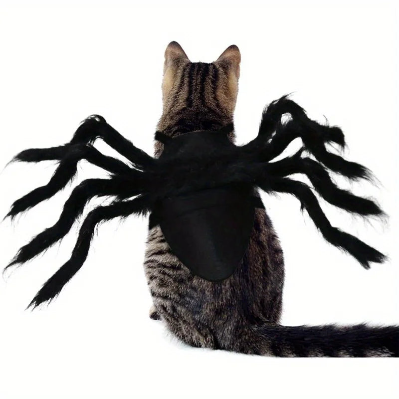 Halloween Spider Costume for Pets