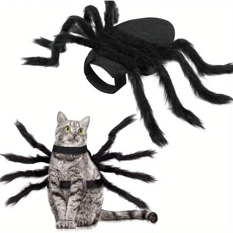 Halloween Spider Costume for Pets