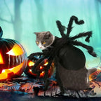 Halloween Spider Costume for Pets