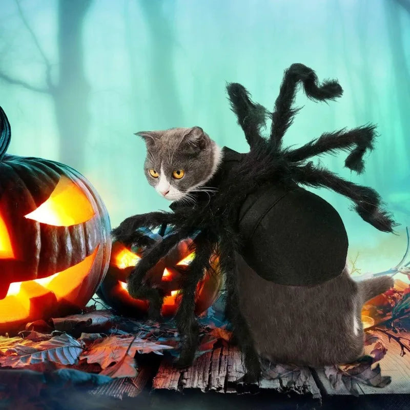 Halloween Spider Costume for Pets