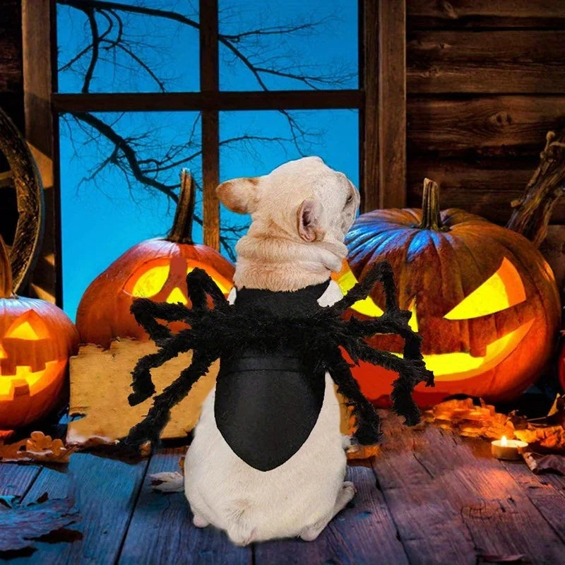 Halloween Spider Costume for Pets