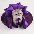 Halloween Witch Costume for Pets