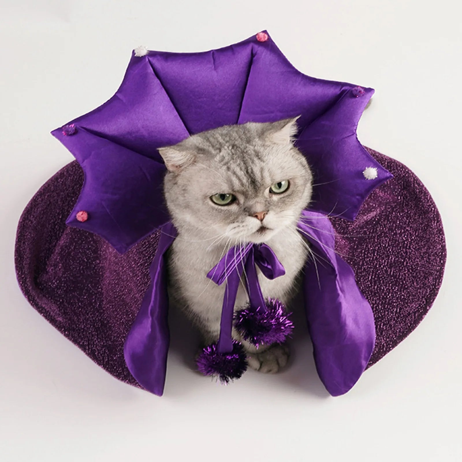 Halloween Witch Costume for Pets