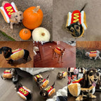 Halloween Hot Dog - Dog Costume