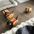 Halloween Hot Dog - Dog Costume