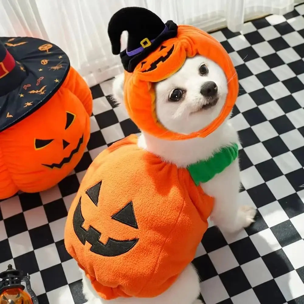 Dog Pumpkin Costume Halloween Outfit