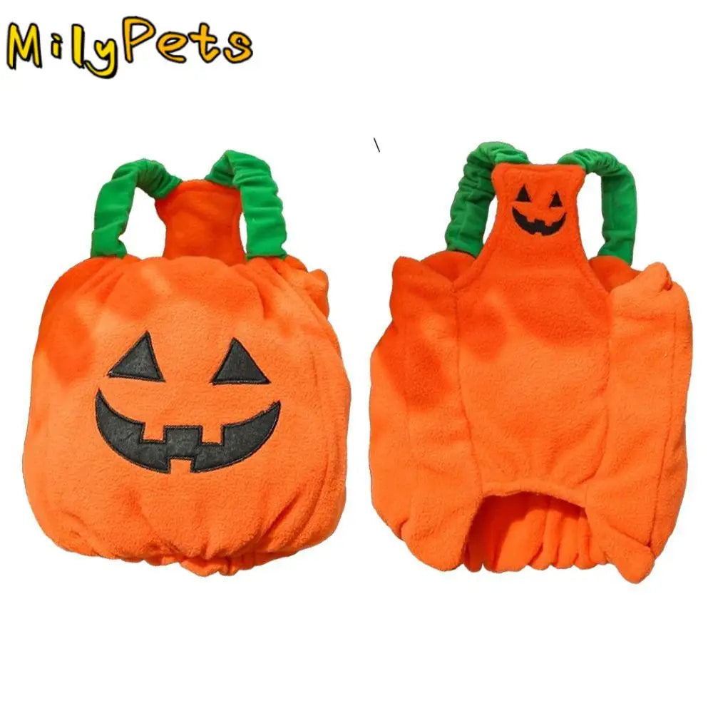 Dog Pumpkin Costume Halloween Outfit