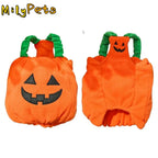 Dog Pumpkin Costume Halloween Outfit