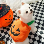 Dog Pumpkin Costume Halloween Outfit
