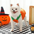 Dog Pumpkin Costume Halloween Outfit