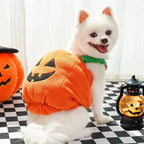 Dog Pumpkin Costume Halloween Outfit