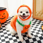 Dog Pumpkin Costume Halloween Outfit