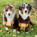 Pet Courier Costume for Dogs - Fun Outfit