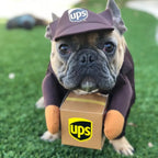 Pet Courier Costume for Dogs - Fun Outfit