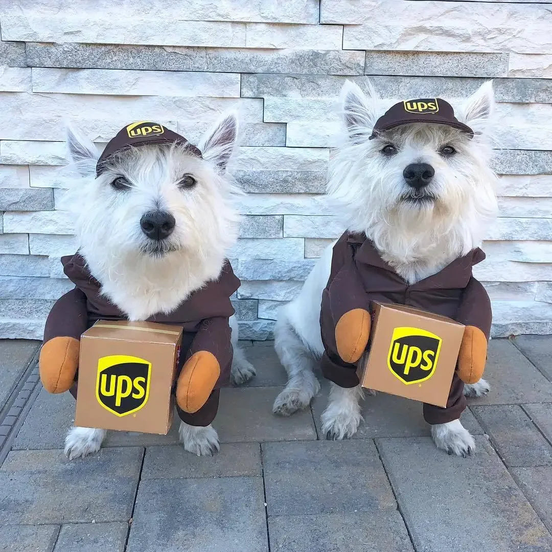 Pet Courier Costume for Dogs - Fun Outfit