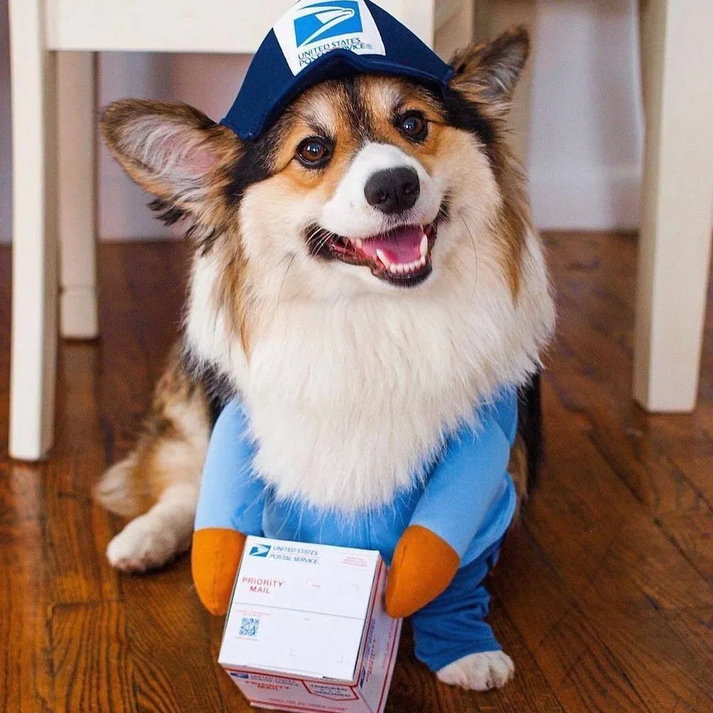 Pet Courier Costume for Dogs - Fun Outfit