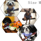 Pet Guitar Costume for Halloween