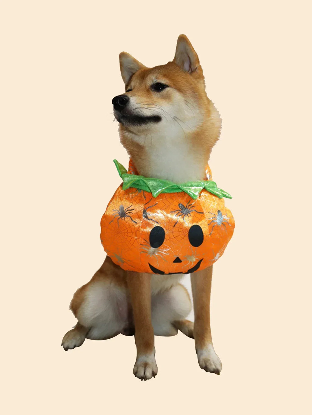 Pet Pumpkin Halloween Costume for Dogs