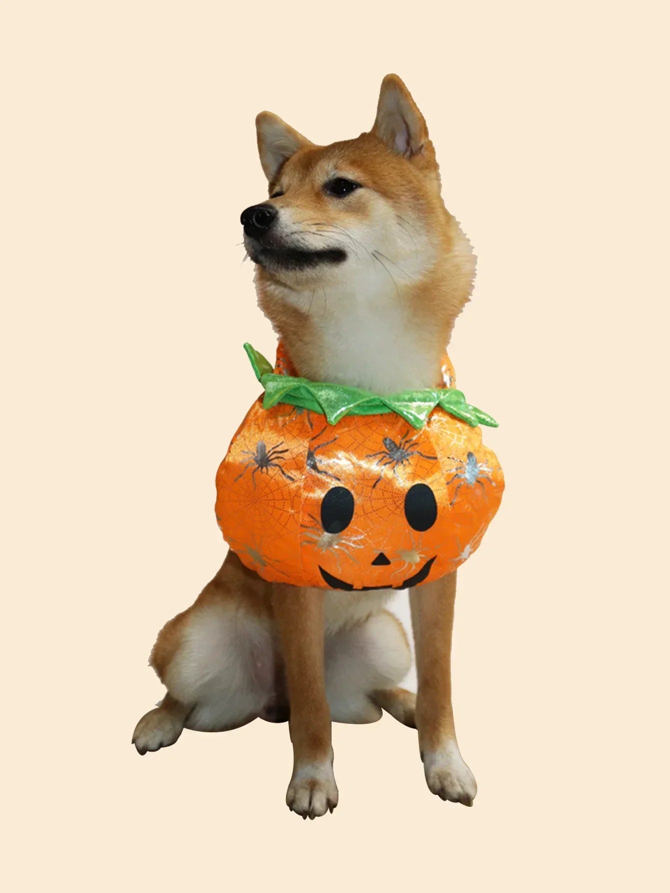 Pet Pumpkin Halloween Costume for Dogs