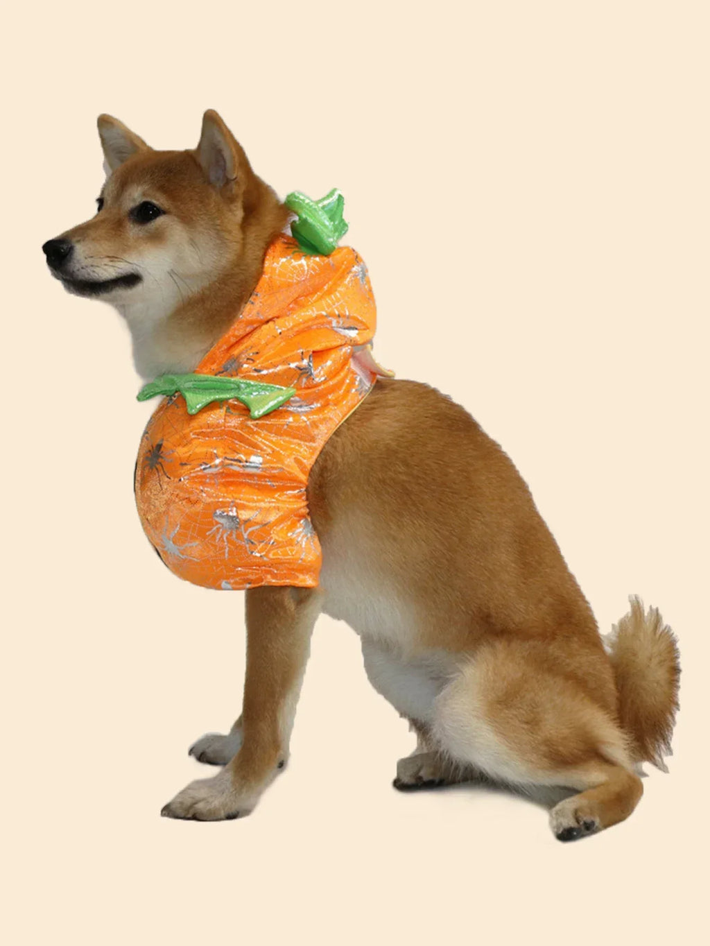 Pet Pumpkin Halloween Costume for Dogs