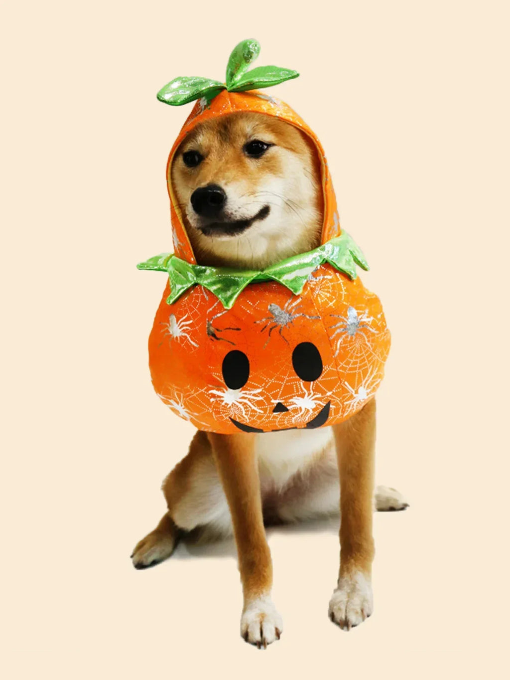 Pet Pumpkin Halloween Costume for Dogs