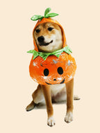 Pet Pumpkin Halloween Costume for Dogs