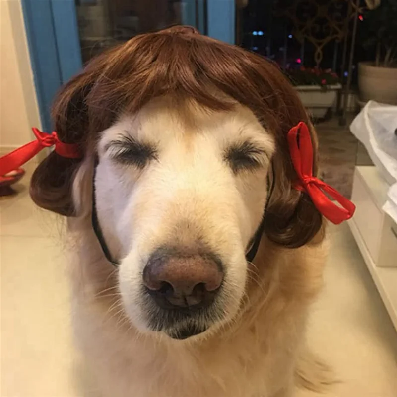 Pet Wig for Halloween Fun