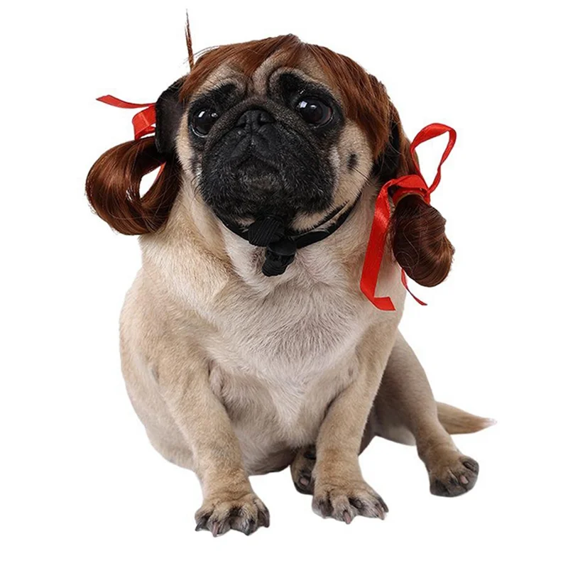 Pet Wig for Halloween Fun