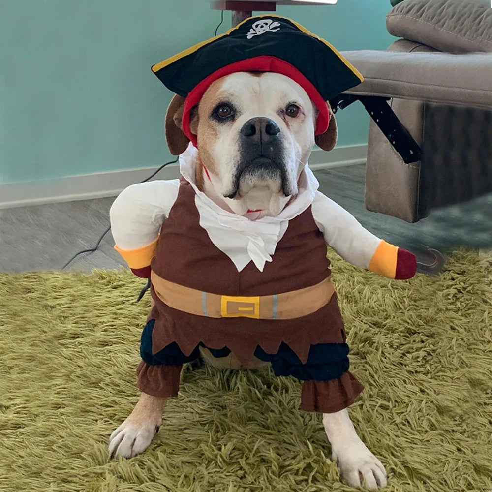 Pirate Halloween Costume for Cats and Dogs