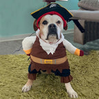 Pirate Halloween Costume for Cats and Dogs