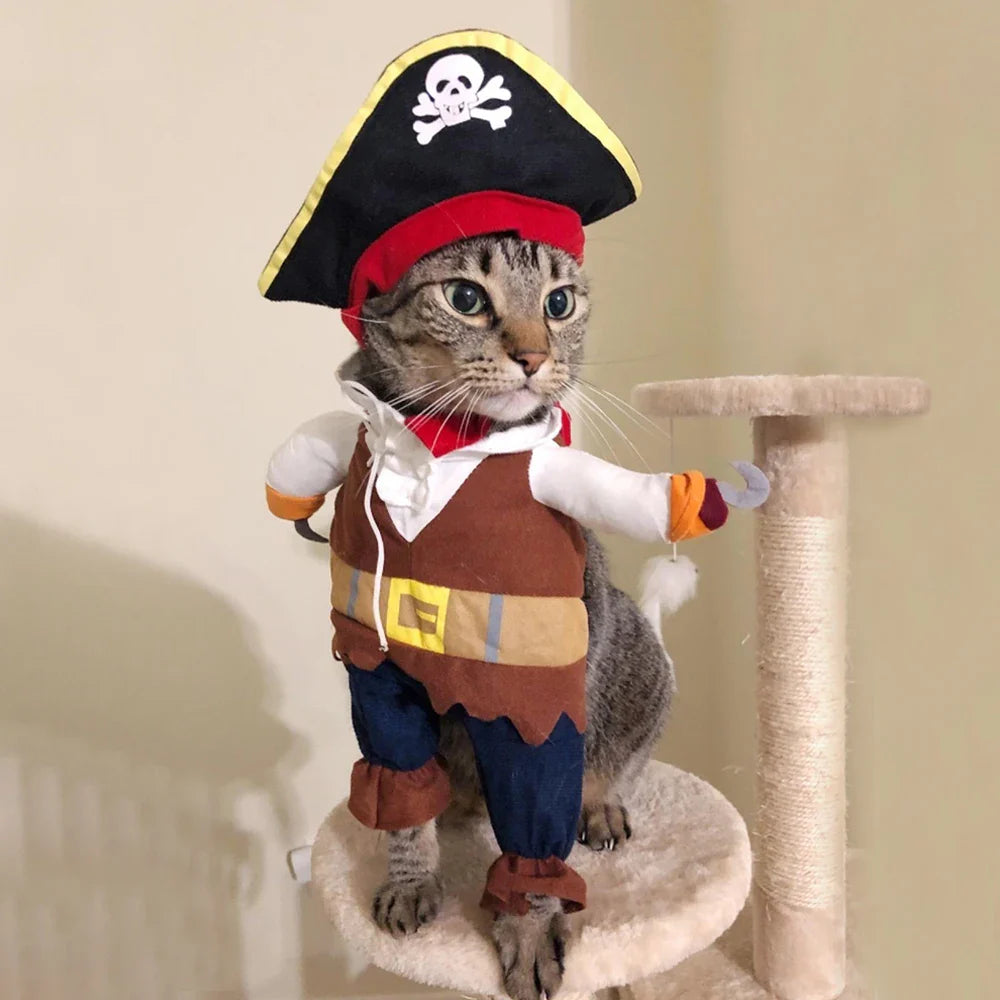 Pirate Halloween Costume for Cats and Dogs