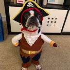 Pirate Halloween Costume for Cats and Dogs