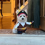 Pirate Halloween Costume for Cats and Dogs