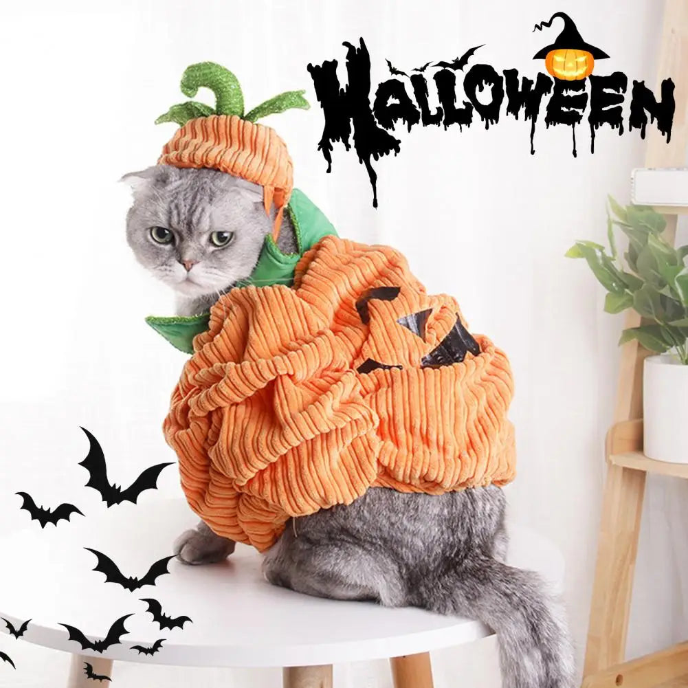 Pumpkin Pet Costume for Small Dogs