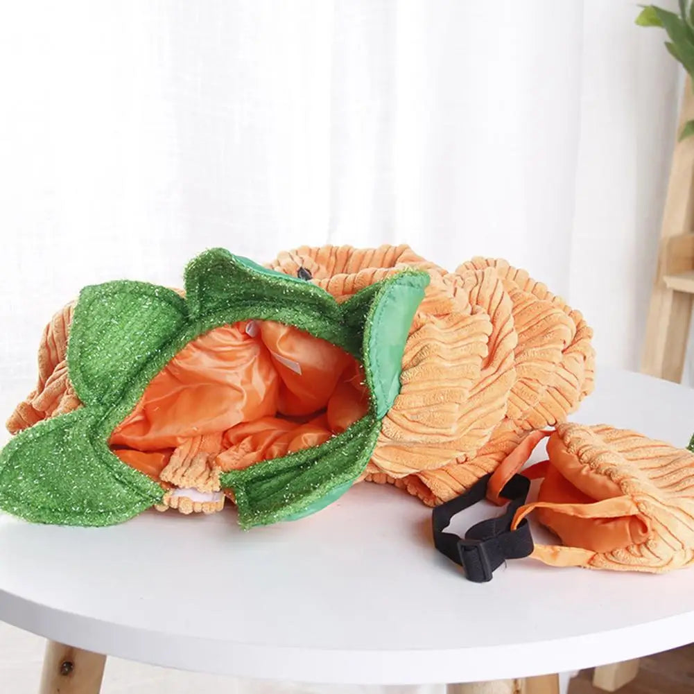 Pumpkin Pet Costume for Small Dogs