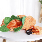 Pumpkin Pet Costume for Small Dogs