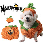 Pumpkin Pet Costume for Small Dogs