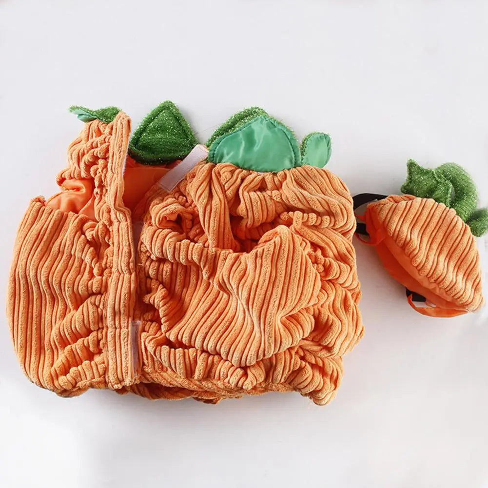 Pumpkin Pet Costume for Small Dogs