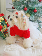 Red Tweed Dog Dress with Lace Back Bow