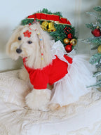 Red Tweed Dog Dress with Lace Back Bow
