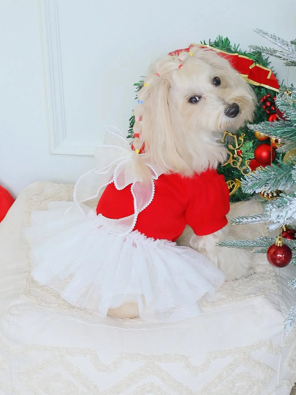 Red Tweed Dog Dress with Lace Back Bow