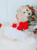 Red Tweed Dog Dress with Lace Back Bow